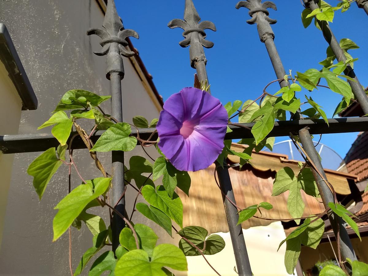 Pousada Castelinho Maricá Exterior foto